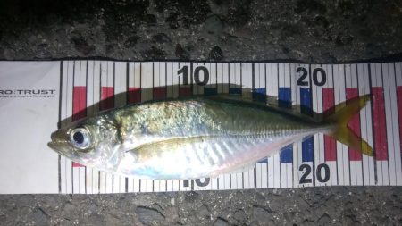 小さなあたりをしっかりと感じて